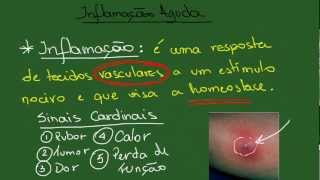 Inflamação Aguda  Resumo  Patologia Geral [upl. by Mercer548]