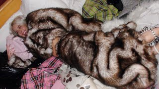 Amazing furs Used [upl. by Kirchner]