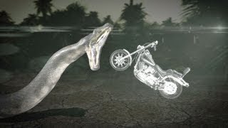 Titanoboa Monster Snake  Could Titanoboa Swallow a Motorcycle [upl. by Selin]