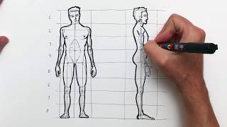 Como dibujar la figura humana paso a paso El cuerpo del hombre y sus proporciones [upl. by Neitsirk]