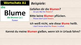 Wortschatz A1 Blume [upl. by Nirb685]