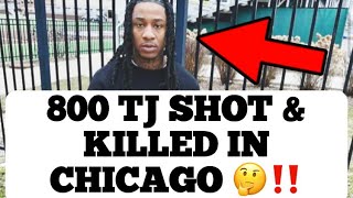 800 TJ Shot amp Killed In Chicago By His OPPS [upl. by Grete676]