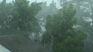 Heavy Rain and Wind Sounds For Sleeping  Relaxation  10 Hours [upl. by Atiuqad776]