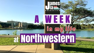 Northwestern University  A Week in My Life at NU [upl. by Emilie264]