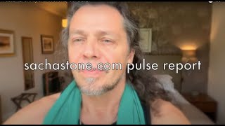 PULSE REPORT by SACHA STONE  JUNE 2024 [upl. by Uke]