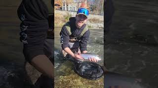 Lake Ontario Tributaries Steelhead Fishing [upl. by Gabriela]