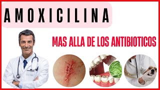 Los Usos OCULTOS de la AMOXICILINA Más Allá de los Antibióticos [upl. by Hetty564]