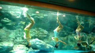 Synchronised swimming to Michael Jackson [upl. by Ainoda]