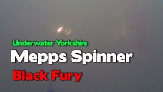 Mepps Black Fury Underwater Footage [upl. by Oni360]