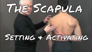 Setting and Activating the Scapula  Ask Dr Abelson [upl. by Araed]