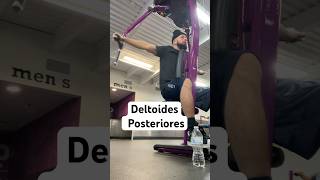 Deltoides Posteriores fitness deltoides gym gimnasio musculo [upl. by Amis]