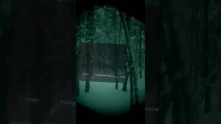 Night Vision Vs Thermal Vision [upl. by Dominik]