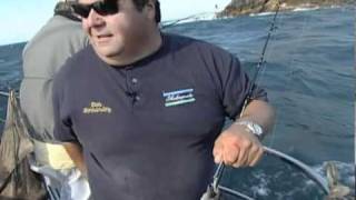 Dan Hernandez Wide Open Rock Fish Bite [upl. by Aehsa]