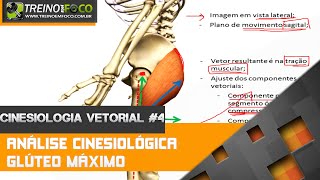 Análise Cinesiológica do Glúteo Máximo  Cinesiologia Vetorial 4 [upl. by Dollie340]