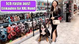 Shopping mit Hund 😍 Urlaub Vorbereitungen mit großem Hund Einkaufen Haul Zoohandlung Mamiseelen [upl. by Acilegna158]