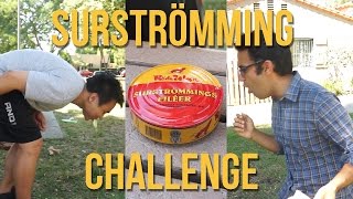 SURSTRÖMMING CHALLENGE [upl. by Issy]