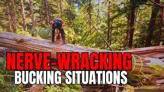 150 Sketchy Bucking  Pinched BackCut Trick [upl. by Aciruam]