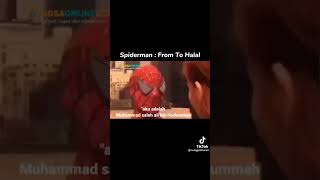 Meme  Spiderman  From To Halal [upl. by Aihsinat]