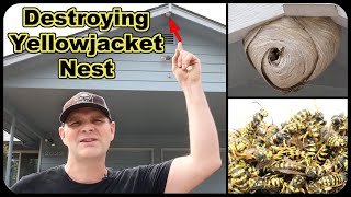 Destroying A Dangerous Yellow Jacket Wasp Nest On A Friends House Mousetrap Monday [upl. by Geller]