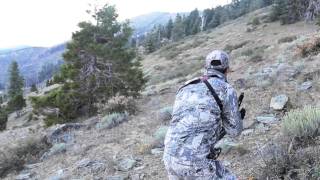 quotHIGH AND LOWquot Bowhunting Blacktails in the High Country [upl. by Lehar680]