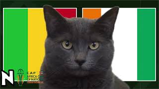 Mali vs Ivory Coast  AFCON Quarter Final  Cass the Cat Predicts [upl. by Godbeare704]