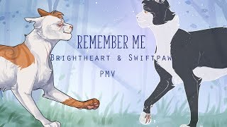 WARRIORS REMEMBER ME  BrightheartampSwiftpaw PMV [upl. by Aruabea726]