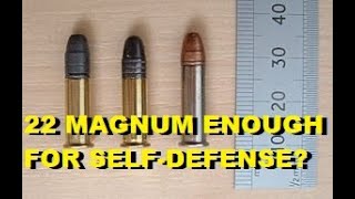 Is 22 Magnum POWERFUL ENOUGH For SelfDefenseâ“ðŸ¤” [upl. by Alya]