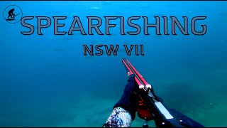 Spearfishing NSW 7 2019 [upl. by Mharba]