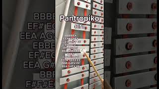 PANTROPIKOBINILYRE XYLOPHONE COVERHampC ENTERTAINMENT [upl. by Llednyl525]