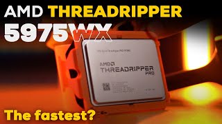 AMD Threadripper 5975WX Review  5965WX 5995WX Core i9 12900K Benchmarks  TheMVP [upl. by Hakilam]