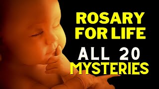 Rosary for Life  ProLife Rosary  All 20 Mysteries of Holy Rosary [upl. by Eglantine]