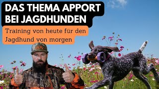 Das Thema quotApportquot in der modernen Jagdhundeausbildung [upl. by Adiari]