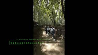 Arashiyama Bamboo Forest Kyoto Japan [upl. by Naanac222]