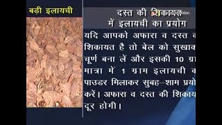 Ayurvedic Benefits of Elaichi for Loose Motions  Acharya Balkrishna [upl. by Endor]