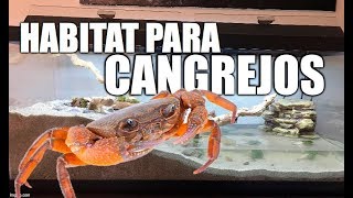 habitat para cangrejos [upl. by Anirpas]