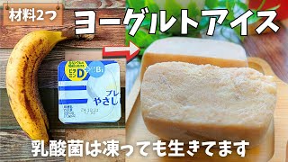 【材料２つ】ヨーグルトアイスの作り方♪安心食材2つで「腸活」スイーツ！ちょっとしたコツで『簡単で体に優しい』食後のアイス♪ [upl. by Tullusus]