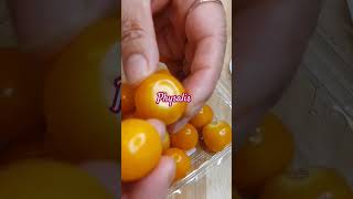 Cutting cute fruit physalis cutting fruit skills shorts youtubeshorts sound [upl. by Aissej]