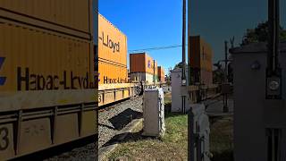 NS Containers Roll thru Topton Pa 2 Trk West Reading Line 101724 [upl. by Drais]