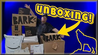 Unboxing LEGOs AmazonHaul and Much More [upl. by Kcaz]