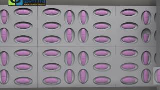 Machine Vision based Blister Fill Inspection System [upl. by Nymsaj568]