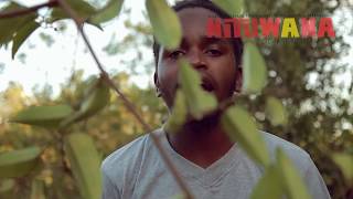 king Cad Wild Official Video Punta music By King Cad [upl. by Papotto]