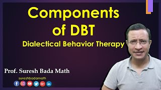 Essential Components of Dialectical Behavior Therapy DBT [upl. by Yorztif]