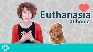 Pet Euthanasia At Home A Spiritual Option [upl. by Shulman]