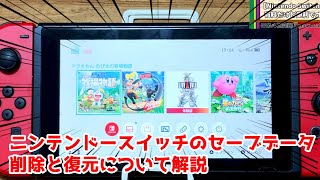 Nintendo Switchのセーブデータ復元と削除する方法について。初心者は必見！ [upl. by Eldnik]