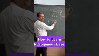 What are Nitrogenous Bases Structure of DNA [upl. by Ynffit706]