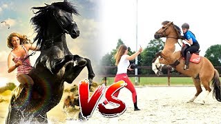 Paardenfilms 🐴🎥 VS De realiteit 😓 [upl. by Bonar36]