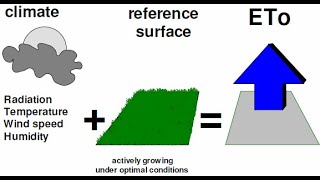 🔴Reference Evapotranspiration ETo explained ⛅️🌤 [upl. by Tugman]