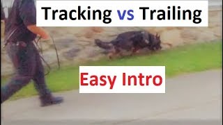 How to Train a Dog to Track trail An easy Intro K91com [upl. by Ahsika]