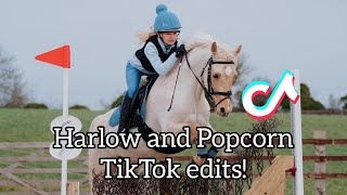 Harlow and Popcorn TikTok edits compilation 2 [upl. by Misab219]