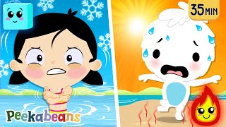 Hot and Cold Song🔥❄️ Learning Opposites 🥵🥶 More Kids Songs by Peekabeans [upl. by Foscalina933]